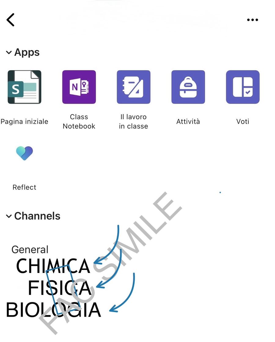 Canali Chimica, Fisica e Biologia nel team della linea